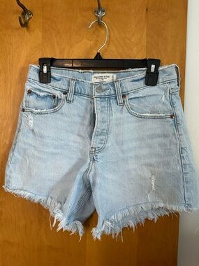 Abercrombie & Fitch Light Wash 90s Baggy Short Size 27